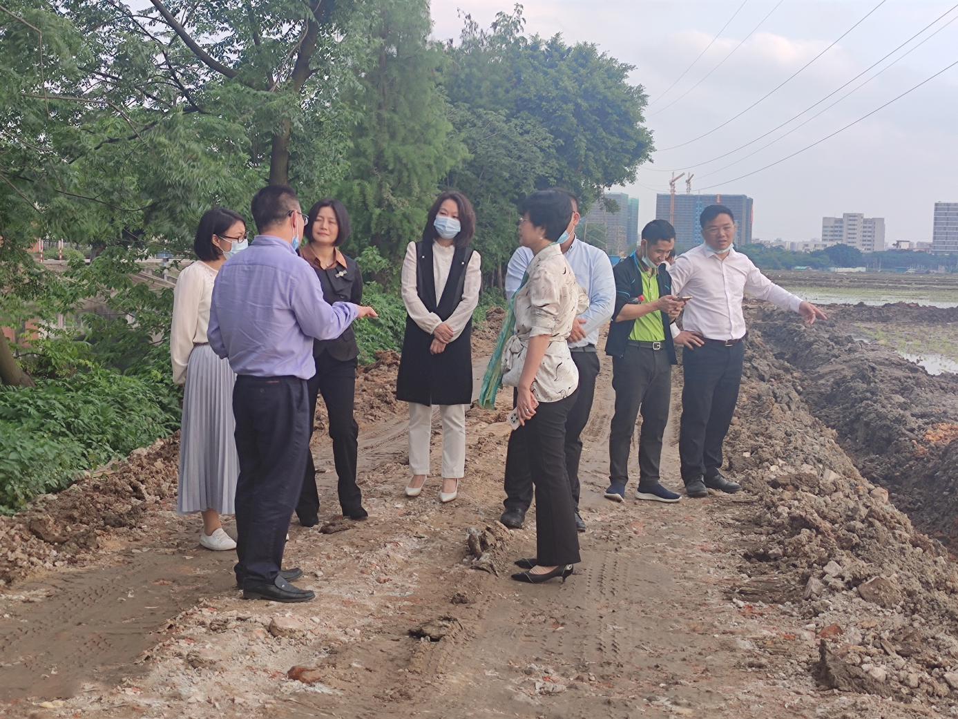 实地调查（。(1).jpg